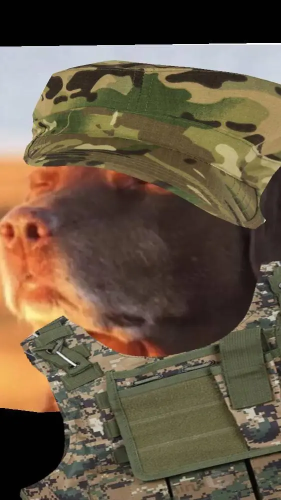 ai character: СобиВоин🇷🇺 background