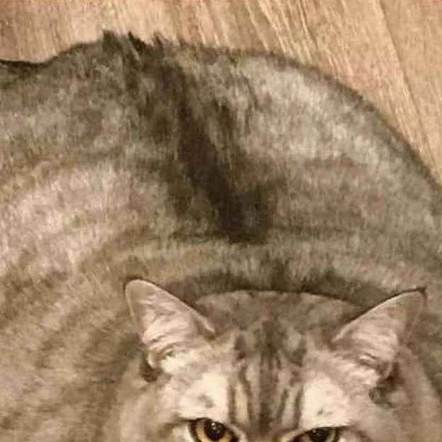 chat with ai character: Булочка