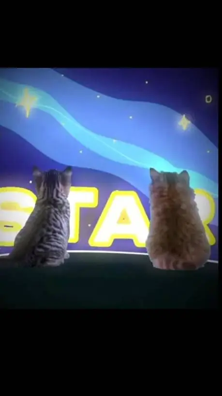 Talkie AI - Chat with star boy