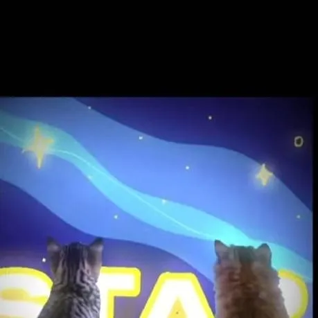 chat with ai character: star boy