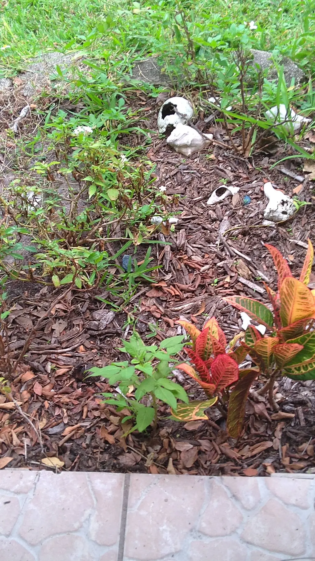 ai character: GAY  background