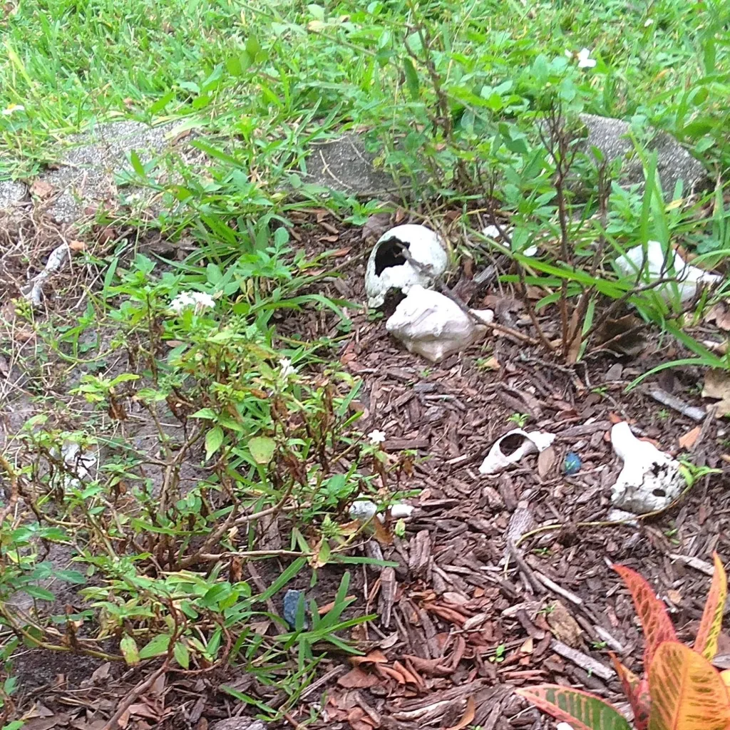 chat with ai character: GAY 