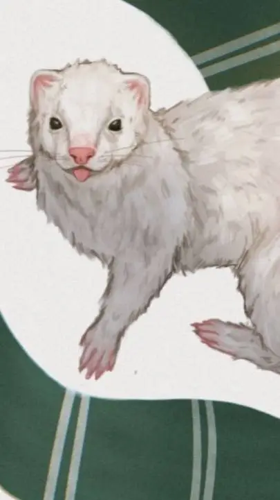 ai character: Draco Ferret background