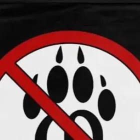 chat with ai character: Anti-furry