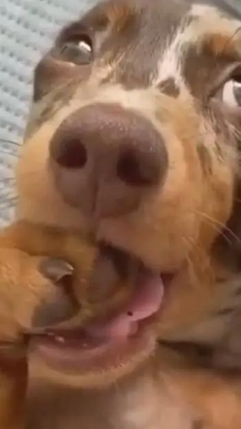 ai character: FERNANDO LOCUÇÕES? background