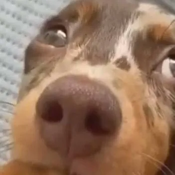 chat with ai character: FERNANDO LOCUÇÕES?