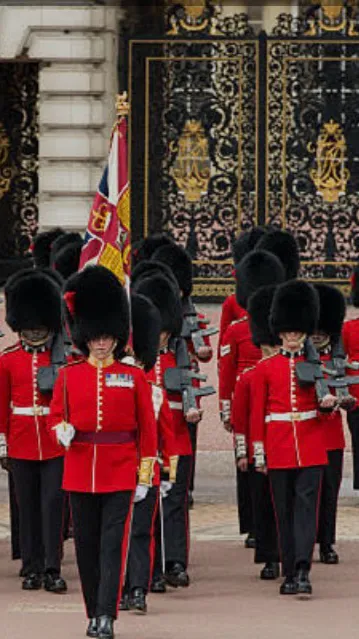 ai character: The king guards😭 background