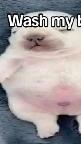 ai character: Pebble1!1!1 background