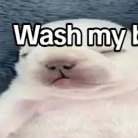 chat with ai character: Pebble1!1!1