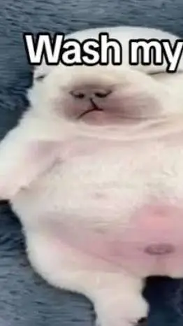 ai character: EVERYONE HATES YOU background