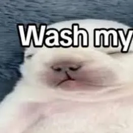 chat with ai character: EVERYONE HATES YOU