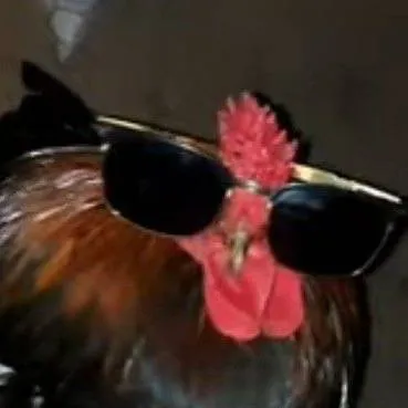 chat with ai character: Pollito