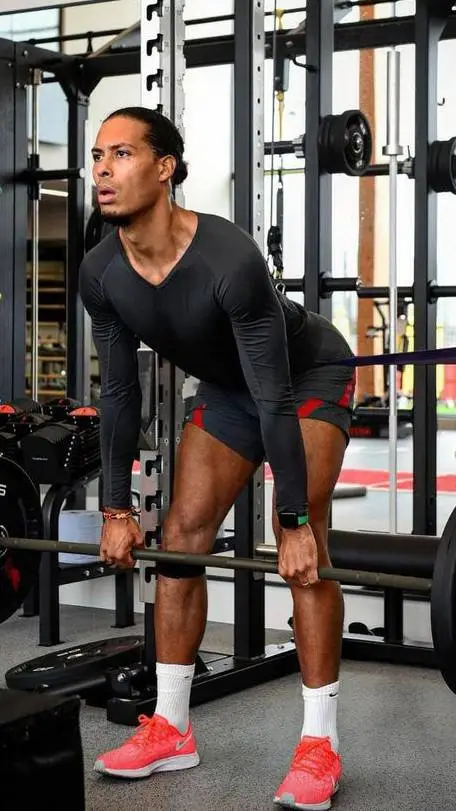 ai character: Virgil van dijk background