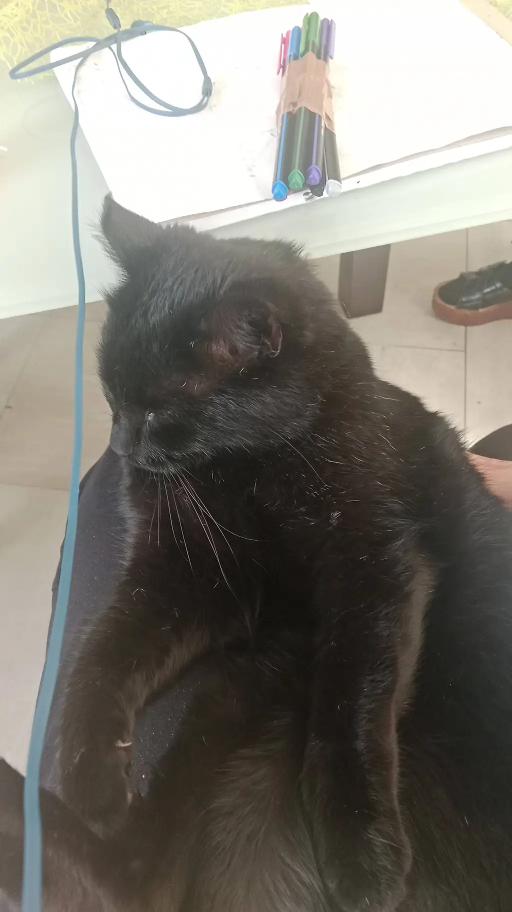 ai character: let's Talk <3 background