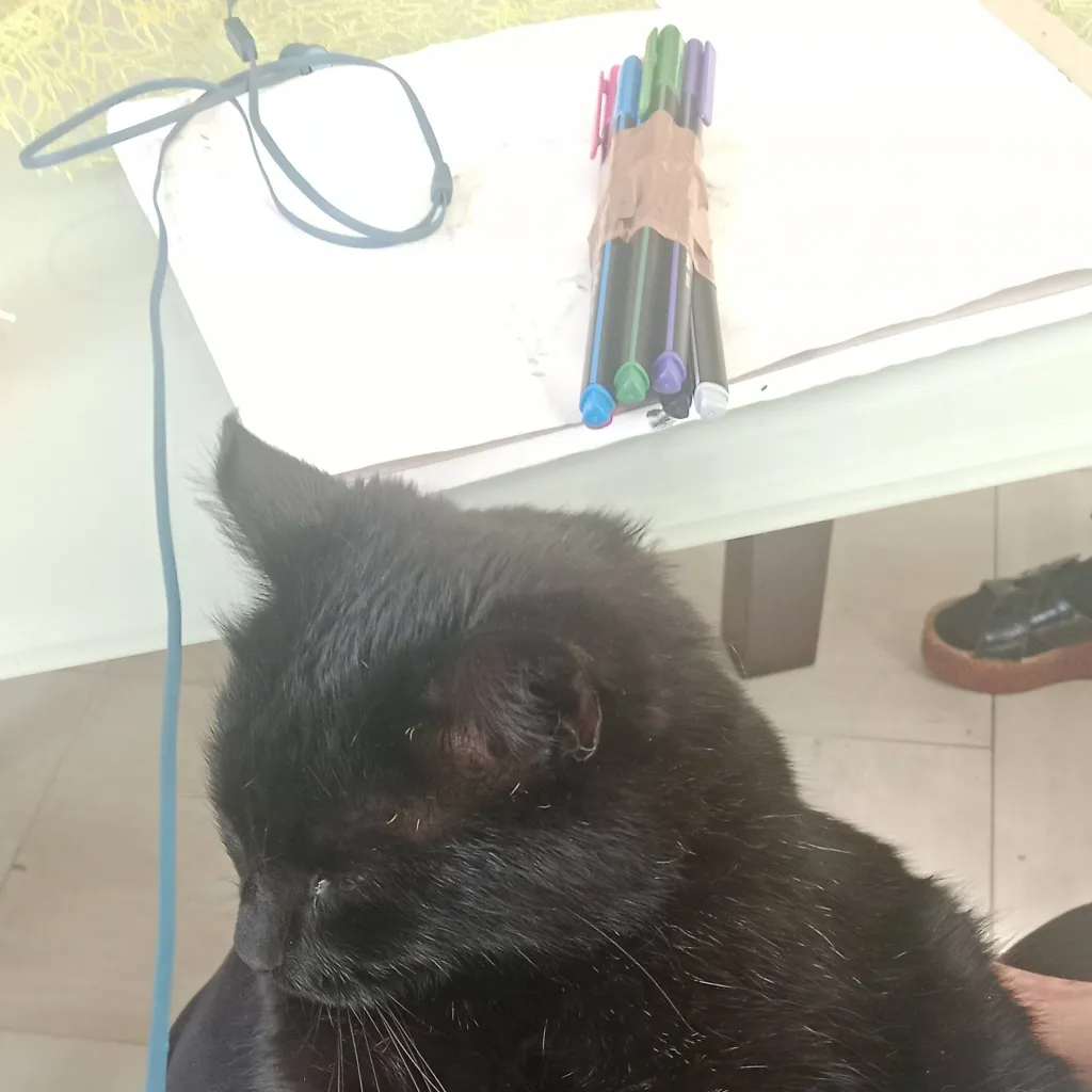 chat with ai character: let's Talk <3