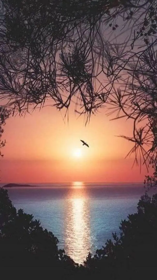 ai character: :) background