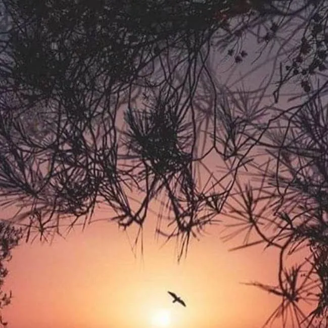 chat with ai character: :)