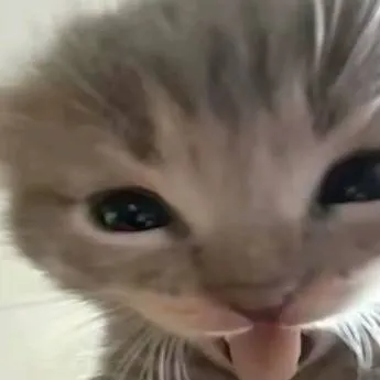 chat with ai character: Narrator