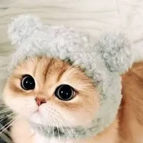 chat with ai character: ❀котик❀