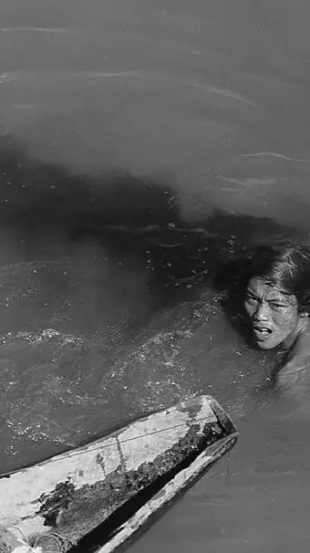 ai character: Shark attack background