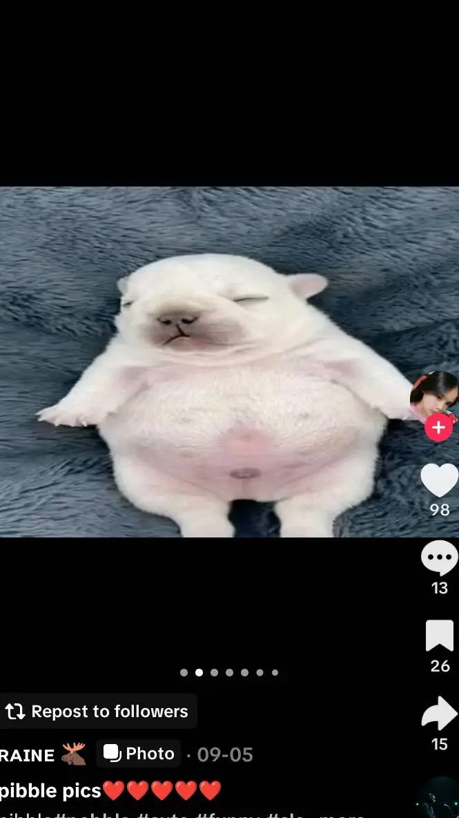 ai character: dog background