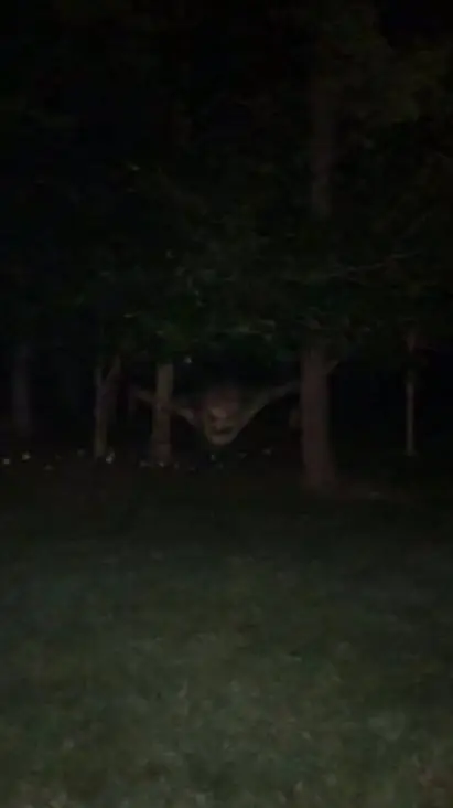 ai character: forest baby background