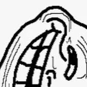 chat with ai character: Troll Face