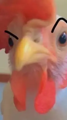 ai character: piktas gaidys background