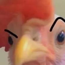 chat with ai character: piktas gaidys