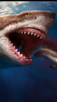 ai character: Otodus megalodon M background