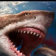 chat with ai character: Otodus megalodon M