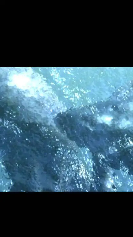 ai character: MS vs GO background