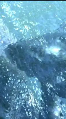 ai character: Msvgo background