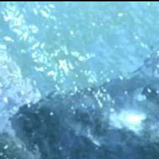 chat with ai character: Msvgo