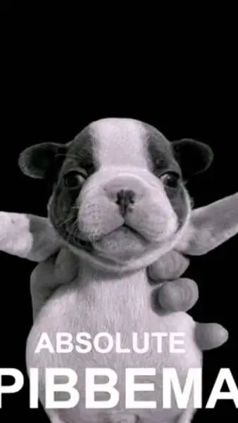 ai character: PIBBLE!!  background