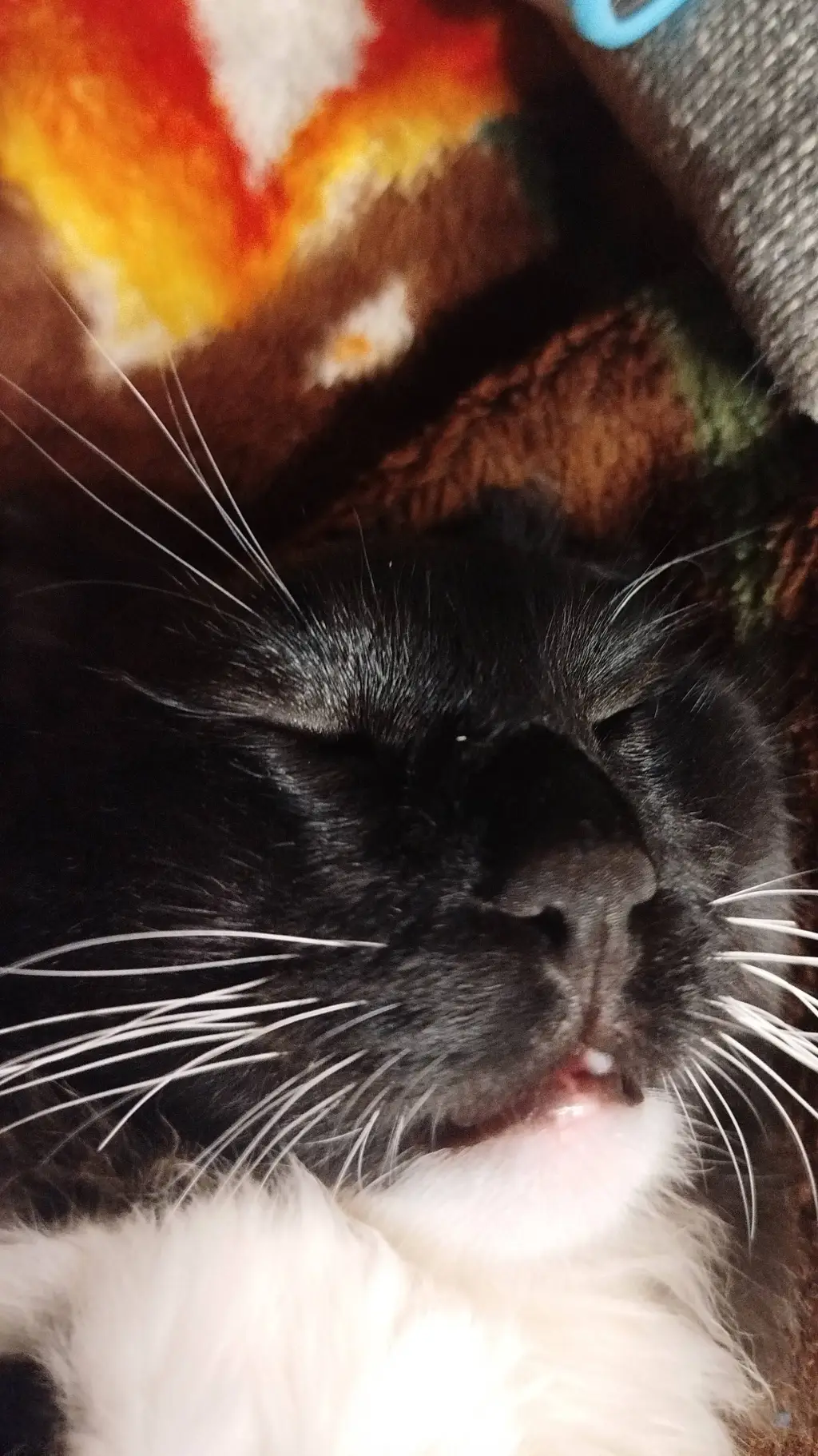 ai character: yandere mfc background