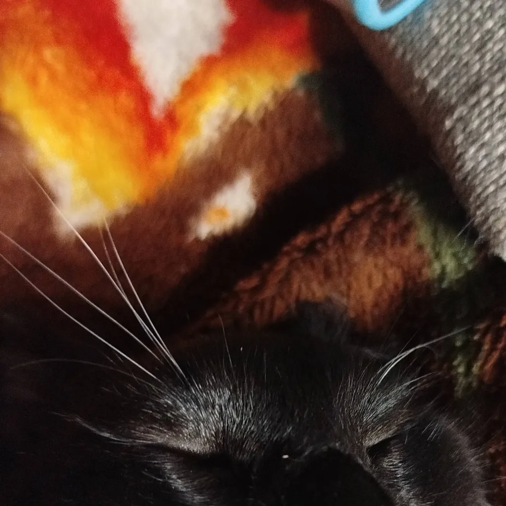 chat with ai character: yandere mfc