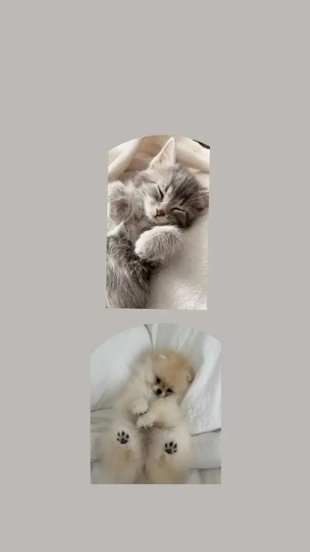ai character: Cutest pets🩷 background