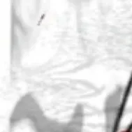 chat with ai character: Guest 666