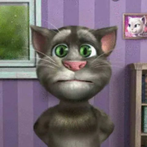chat with ai character: Talking Tom Cat 2
