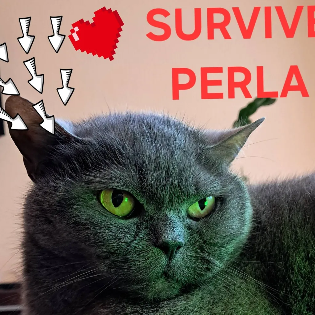 chat with ai character: PERLOS WORLD