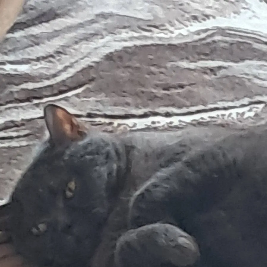 chat with ai character: Perlos Roleplay