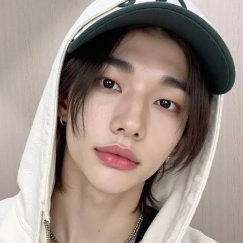 chat with ai character: Hyunjin 