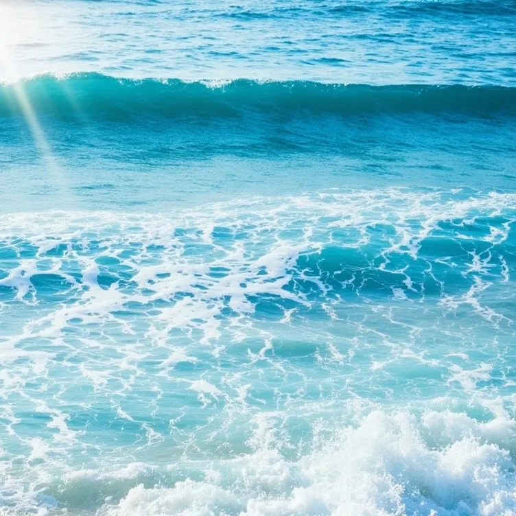 chat with ai character: OBX 🌊