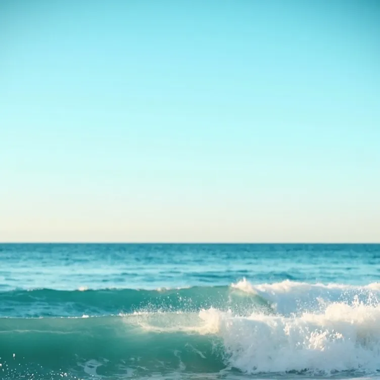 chat with ai character: OBX (outer banks) 