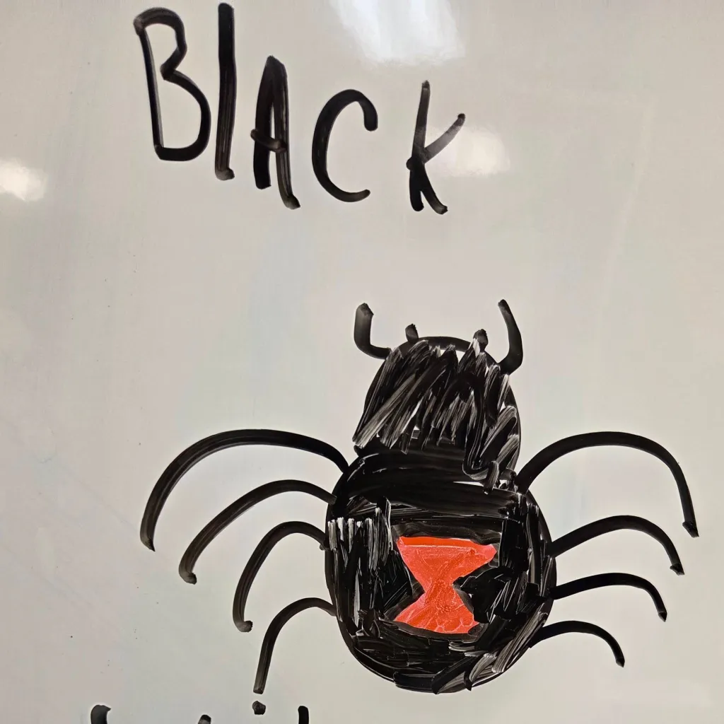 chat with ai character: black widow spider