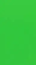 ai character: Verde  background