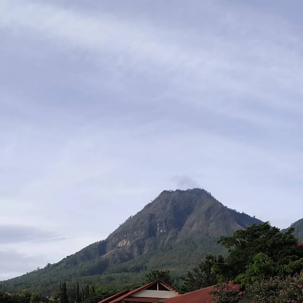 chat with ai character: Die Of Death