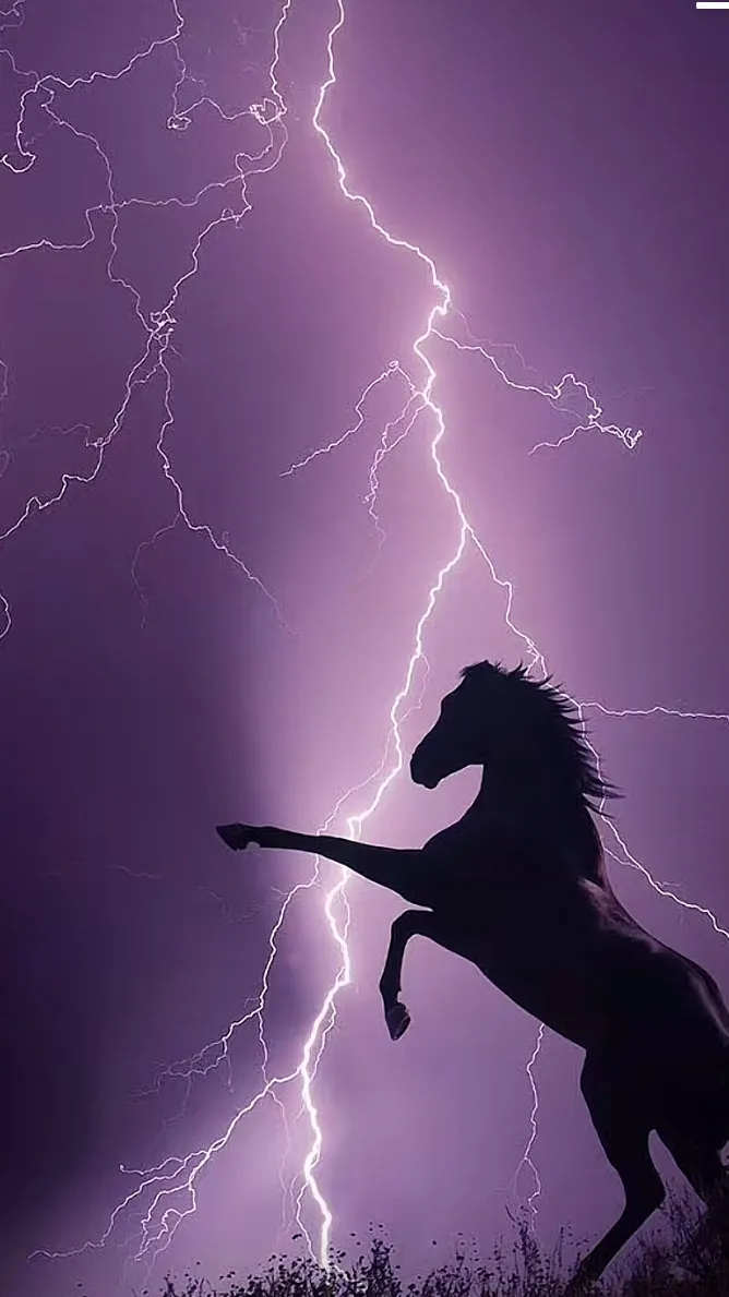 ai character: Sam x Colby background