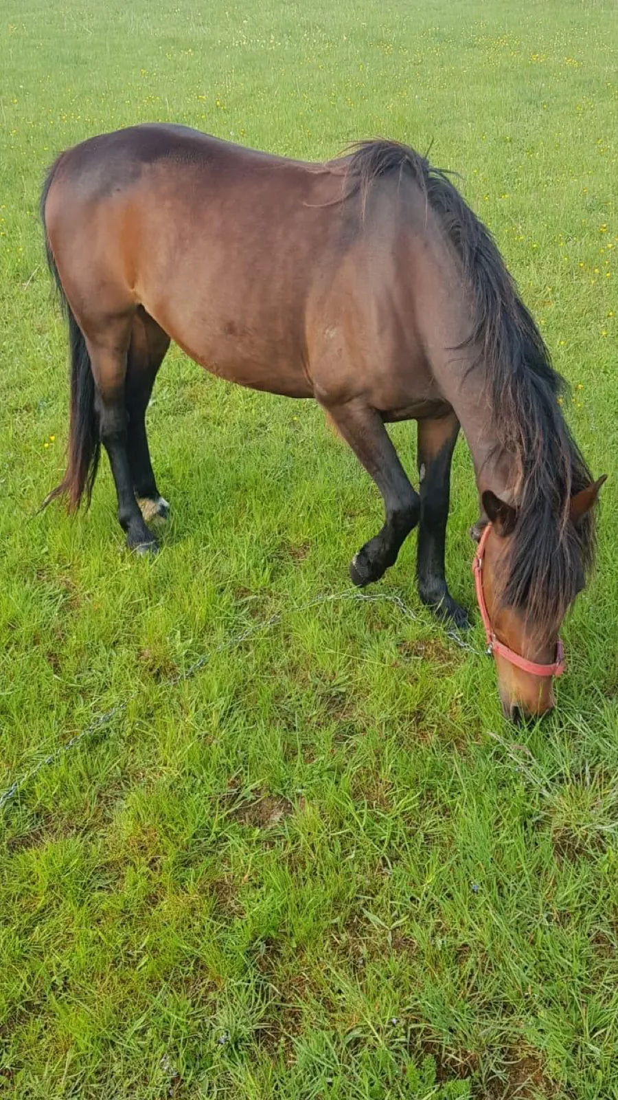 ai character: Sam x Colby background